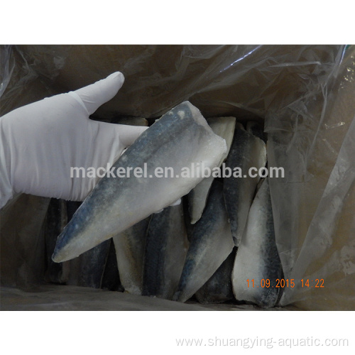 Chinese Export Frozen Fish Mackerel Mackerel Frozen Fillets